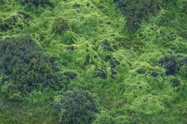 Similar image 21274801