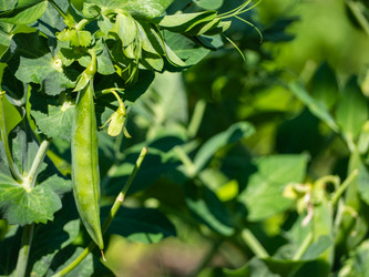 Similar image 21274667