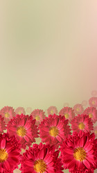 Similar image 21274668