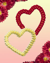 Similar image 21274669