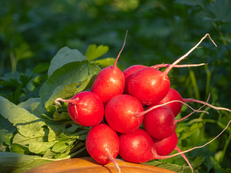 Similar image 21274674