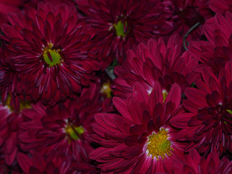 Similar image 21274675