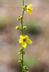 Similar image 21283486