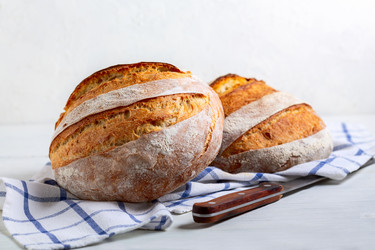 Similar image 21273843