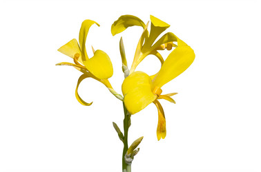 Similar image 21283490