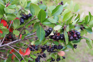 Similar image 21274679