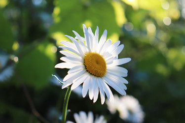 Similar image 21274682