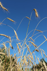 Similar image 21274683