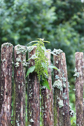 Similar image 21274684