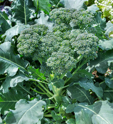 Similar image 21280750