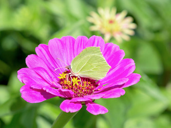 Similar image 21280753