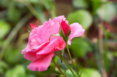 Similar image 21282977