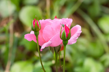 Similar image 21282978