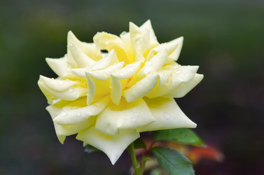 Similar image 21282979