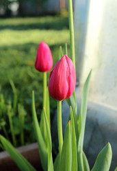 Similar image 21277105