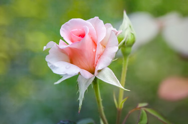 Similar image 21282980