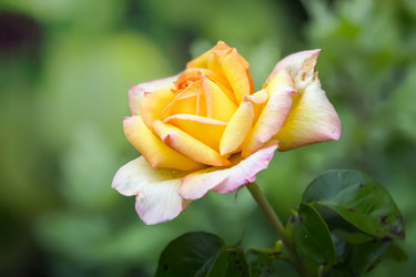 Similar image 21282981