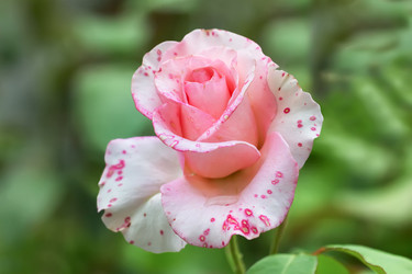 Similar image 21282982