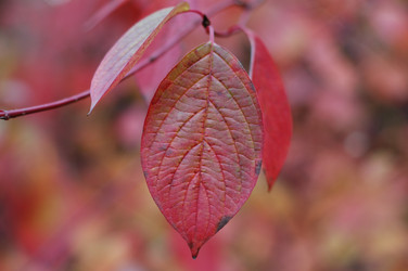 Similar image 21275762