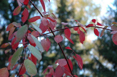 Similar image 21275763