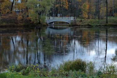 Similar image 21275921