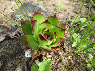 Similar image 21275923