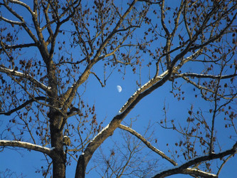 Similar image 21275925