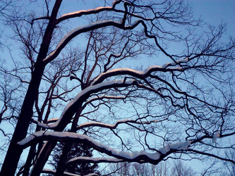 Similar image 21275926