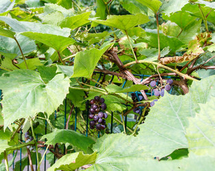 Similar image 21292453