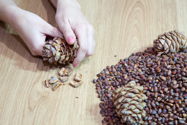 Similar image 21292457