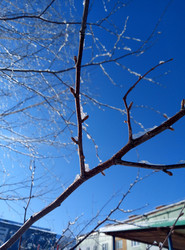 Similar image 21274704