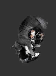 Similar image 21276071