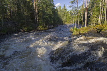 Similar image 21274706