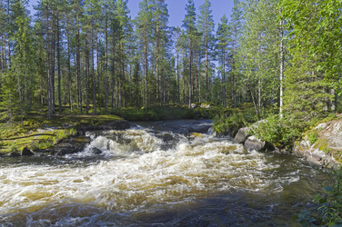 Similar image 21274707