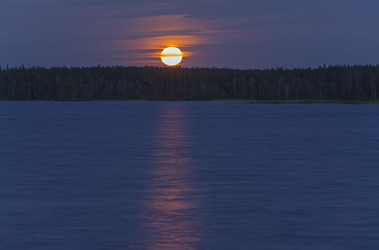 Similar image 21274708