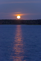 Similar image 21274709