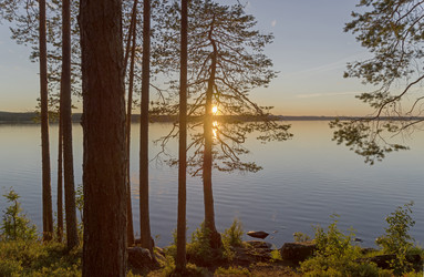 Similar image 21274710