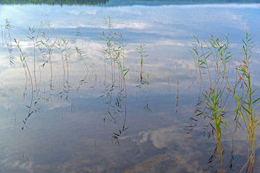 Similar image 21274711