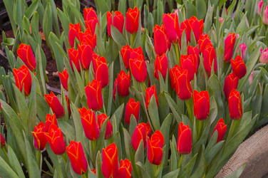 Similar image 21274713