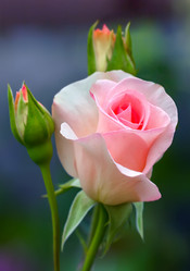 Similar image 21282983