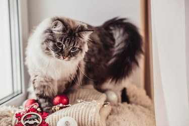 Similar image 21276075