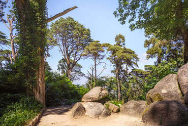 Similar image 21283493