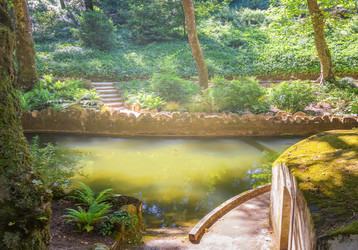 Similar image 21283495