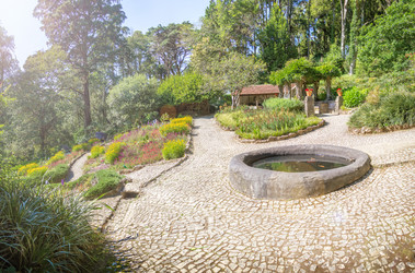 Similar image 21282737