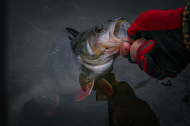 Similar image 21276108