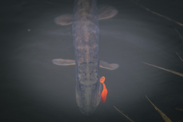 Similar image 21276113