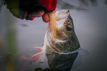 Similar image 21276116