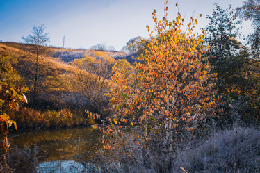 Similar image 21276119