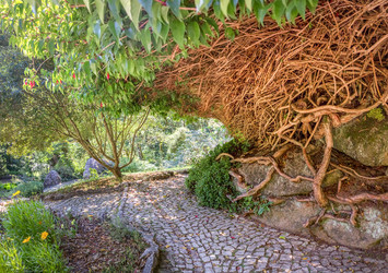 Similar image 21283092