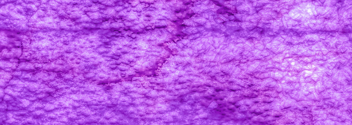 Similar image 21276451